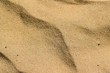 Fine yellow sand texture