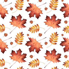 Autumn pattern of fallen leaves. Rowan and maple. Watercolor illustration. Red and yellow leaves. Deciduous trees. For design of backgrounds, packaging, textiles, wallpapers