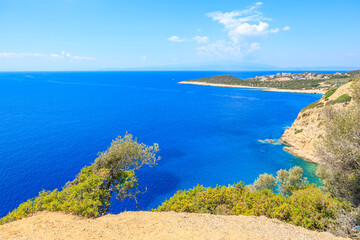 A beautiful blue ocean with a tree in the foreground
