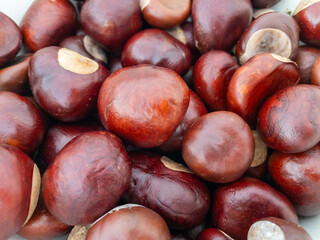 chestnuts close up