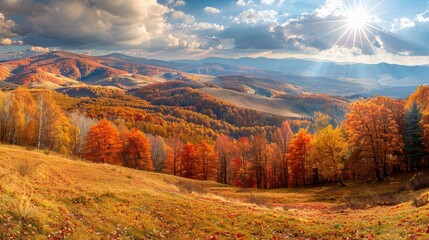 Fototapeta premium Panoramic view of autumn sunny day.