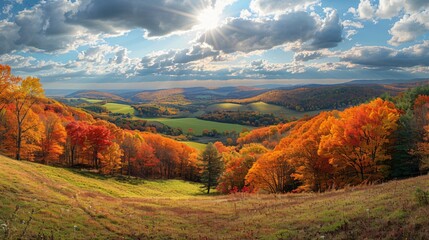Fototapeta premium Panoramic view of autumn sunny day.