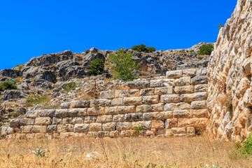 A wall made of stone blocks with a tree growing out of it. Ruins of the ancient city of Philippi, Greece