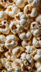 Close-up of yellow popcorn kernels in their natural state, unpopped and raw