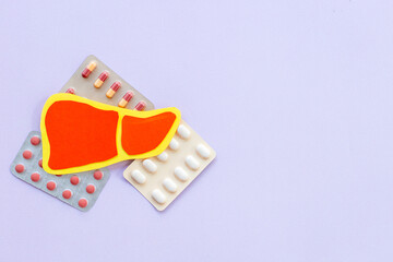 Human organs concept. Healthy liver model, top view. Medical background