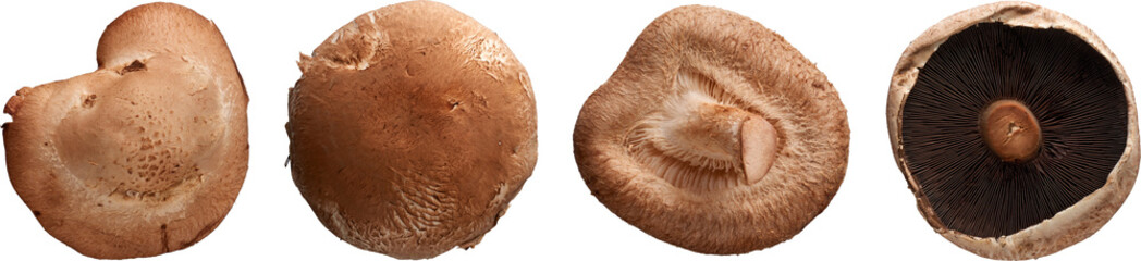 Big mushrooms collection - Ready to use Premium PNG Cutout isolated image.