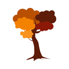 Autumn, cozy set Trees of leaves, and acorns. Vector illustration.