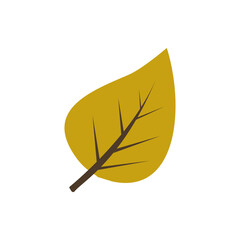 Autumn, cozy set of leaves, and acorns. Vector illustration.