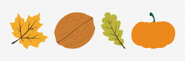 Autumn, cozy set Trees of leaves, and acorns. Vector illustration.