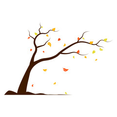 Autumn, cozy set Trees of leaves, and acorns. Vector illustration.