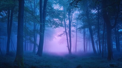 A misty forest scene with ethereal blue and purple hues, creating a tranquil atmosphere.