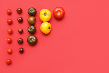 Different fresh tomatoes on red background