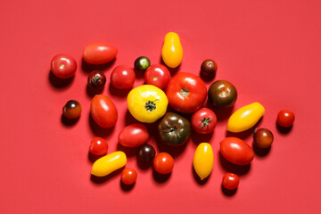 Different fresh tomatoes on red background