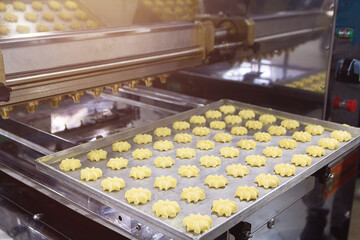 Close up of automated biscuit cookies shape forming machine on a conveyor belt with cookie dough, biscuit