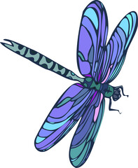 dragonfly on a transparent background