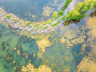 Aerial view of lake or river green shore with forest. Summer season.