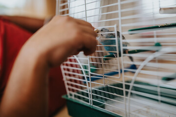 A close-up image of a hand feeding a blue parakeet through the bars of a white bird cage, highlighting a moment of care and connection with a pet bird.