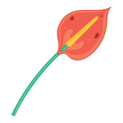 Minimalist red and yellow flower with long green stem Vector