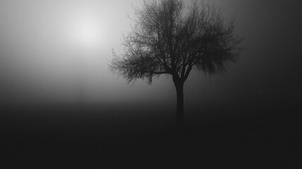 A tree stands alone in a foggy field
