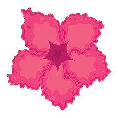 Pink hibiscus flower with vibrant petals and center Vector