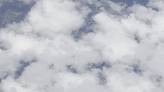 Volando