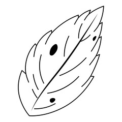 Black and white abstract leaf with simple line details Vector