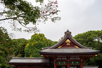 鎌倉249　鶴岡八幡宮2　舞殿
