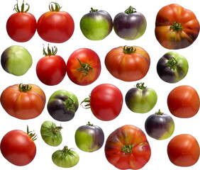 green and red tomatoes collection - Ready to use Premium PNG Cutout isolated image.
