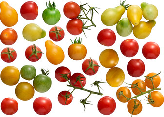 Small colourful tomatoes collection - Ready to use Premium PNG Cutout isolated image.
