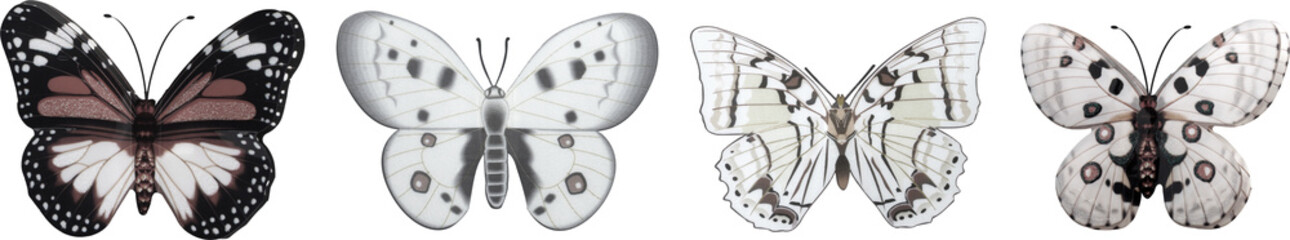 White butterflies collection - Ready to use Premium PNG Cutout isolated image.