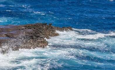 Dramatic Ocean crashing wave Hawaii at Makapu Point