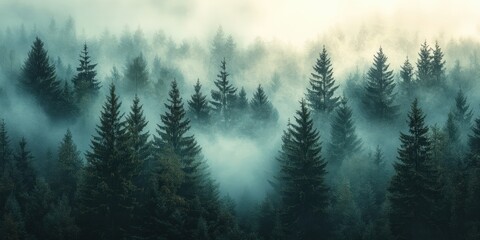 Misty fir forest with soft morning light filtering through the fog