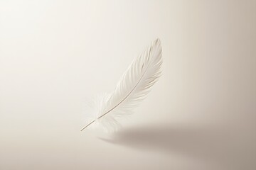 illustration of a single feather floating in the air, with soft curves and a monochromatic palette