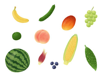 夏の食べ物の手描きイラスト