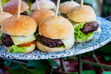 Hamburguesa de carne 