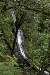 rio en parque ecologico para actividades outdoor