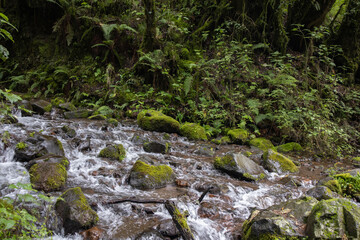 rio en parque ecologico para actividades outdoor