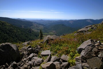 View from a high point with large boulders and wildflowers in the foreground, that looks across an expansive mountain range on a clear sunny day.