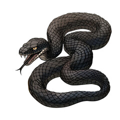 Obraz premium A black snake with an open mouth and sharp teeth, curled in a defensive position against a black background.