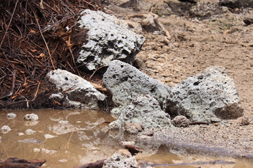 A close-up of porous, light-colored rocks piled near a muddy puddle. The reflection in the water enhances the natural texture, creating a unique landscape detail