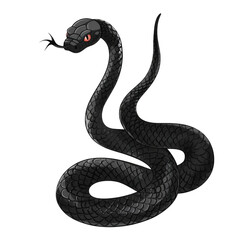Obraz premium A black snake with red eyes is coiled in a defensive posture.