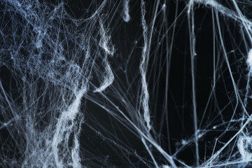 Cobweb against black background, toned in gradient blue color