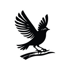 A Bird vector illustration for Logo and T-Shirt design 