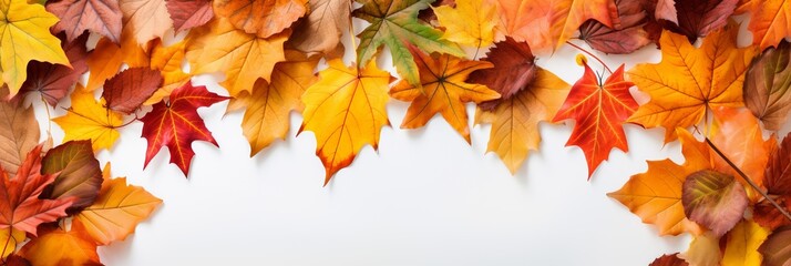 Colorful autumn leaves arranged on a white surface creating a seasonal decoration
