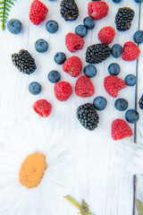 Wild Berries mix, raspberry, blueberry, blackberry, surrounded by daisies isolated on white wooden background, clipping path, full depth of field
