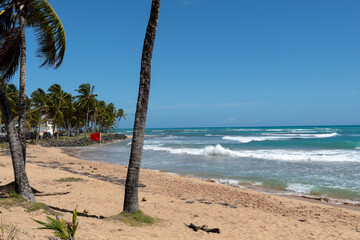 tropical beach of puerto rico