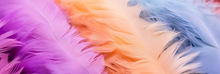 Obraz premium Colorful feathers in shades of purple, orange, and blue arranged artistically on a surface
