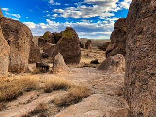 January in City of Rocks State Park in New Mexico.