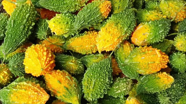 Momordica Charantia Fruit Bitter Melon Ripe and Raw Arranged for Sale in Market. 