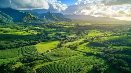 Naklejka premium Serene Aerial View of a Lush Green Valley Organic Farm Promoting Eco-Tourism and Sustainable Agriculture Practices